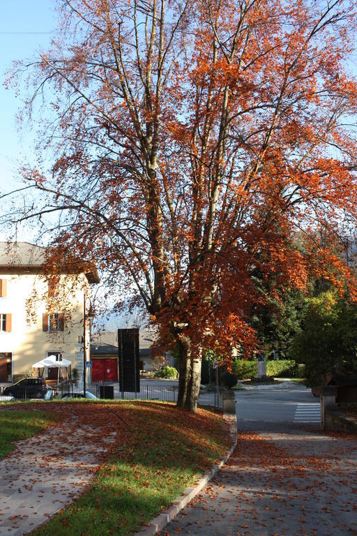 Garni Villa Waiz Roncegno Exteriér fotografie